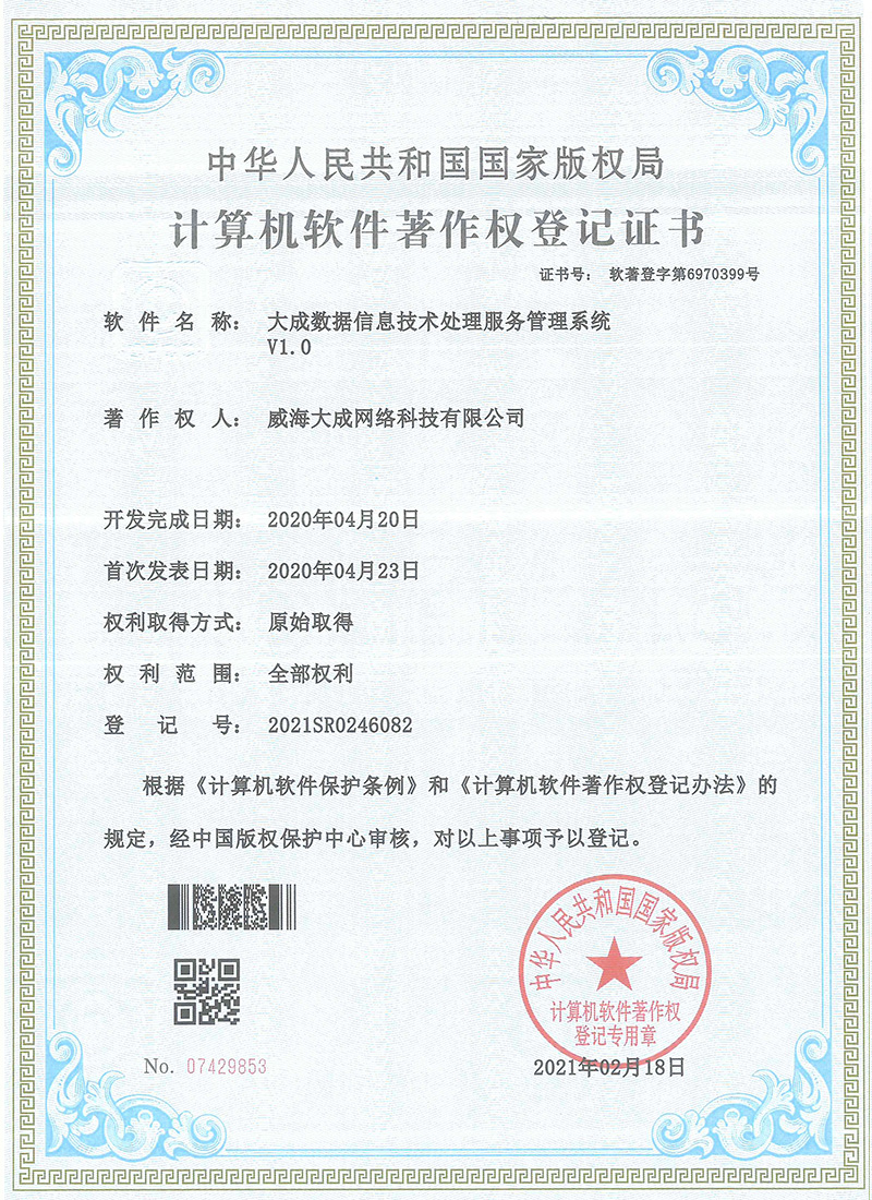 大成数据信息技术处理服务管理服务
